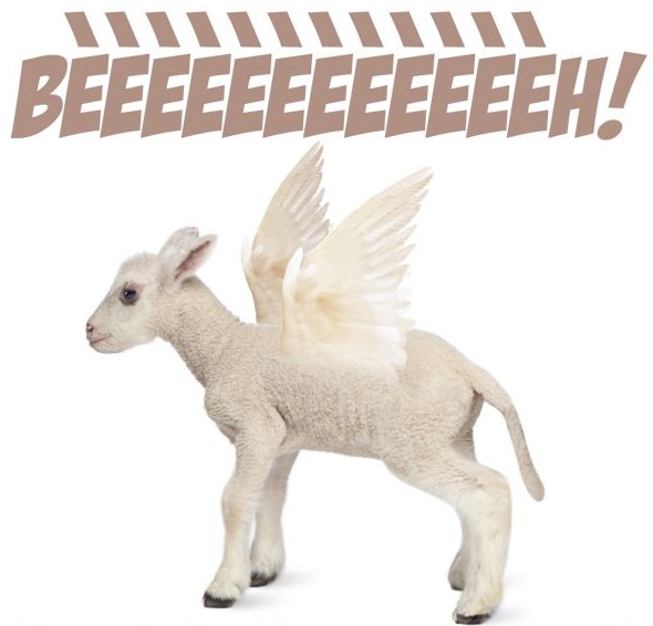 #Vleugellam = #mooiwoord voor #AIVD