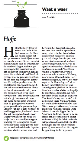 #Column over #Hofje in #DeLimburger