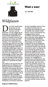 Wildplassen